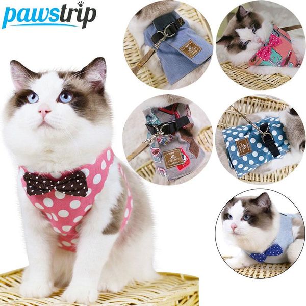 cat collars & leads pawstrip cute harness and leash set safety walking dog vest bow collar 130cm long cat/dog pet lead
cat collars & leads pawstrip cute harness and leash set safety walking dog vest bow collar 130cm long cat/dog pet lead