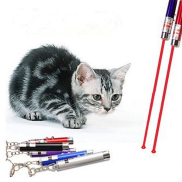 small animal supplies laser funny cat stick cool 2 in1 red pointer pen with white led light childrens play toy accessories
small animal supplies laser funny cat stick cool 2 in1 red pointer pen with white led light childrens play toy accessories
