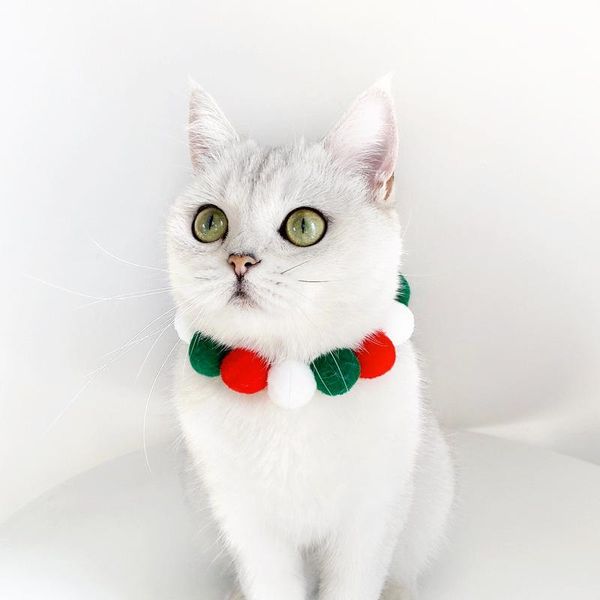 cat costumes pet dog neckerchief necklace neck decoration scarf saliva towel cartoon printing pattern accessories supplies n204
cat costumes pet dog neckerchief necklace neck decoration scarf saliva towel cartoon printing pattern accessories supplies n204