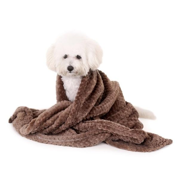 kennels & pens cat solid color pet rug warm towel blanket sleeping calming bed small big dog puppy pork pets mat 20jan13
kennels & pens cat solid color pet rug warm towel blanket sleeping calming bed small big dog puppy pork pets mat 20jan13