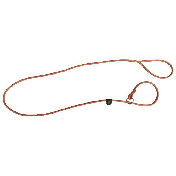 pet dog leash cowhide collar traction integrated p-chain is used to train puppy supplies collars & leashes
pet dog leash cowhide collar traction integrated p-chain is used to train puppy supplies collars & leashes