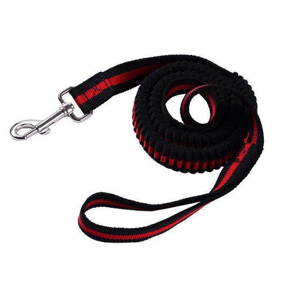 nylon dog leash running lead extendable large gentle retractable heavy duty collars & leashes
nylon dog leash running lead extendable large gentle retractable heavy duty collars & leashes