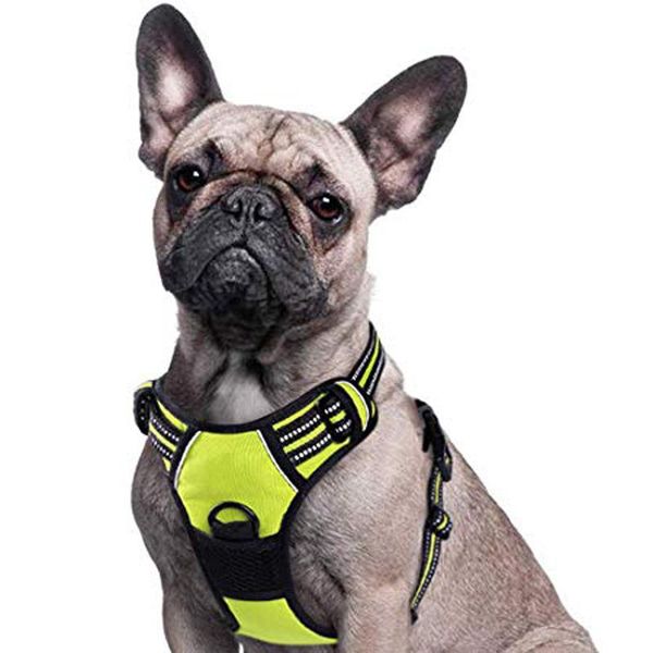 dog collars & leashes harness soft adjustable breathable reflective pet harness vest for small large outdoor running dogs training accessori
dog collars & leashes harness soft adjustable breathable reflective pet harness vest for small large outdoor running dogs training accessori