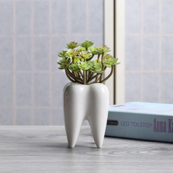creative flower pot succulent teeth simple outdoor gardenceramic pots deskpotted ornaments-teeth ornaments planters &
creative flower pot succulent teeth simple outdoor gardenceramic pots deskpotted ornaments-teeth ornaments planters &