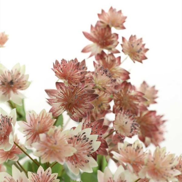 decorative flowers & wreaths snow lotus artificial flower branch for diy home floral arrangement accessories wedding party decoration fake
decorative flowers & wreaths snow lotus artificial flower branch for diy home floral arrangement accessories wedding party decoration fake