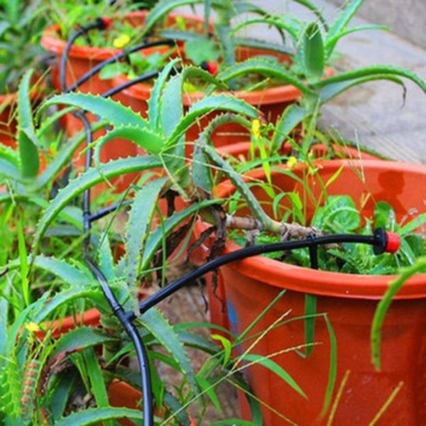 watering equipments 25mdiy micro drip irrigation system auto,manual timer plant garden hose clear fresh water with adjustable dripper
watering equipments 25mdiy micro drip irrigation system auto,manual timer plant garden hose clear fresh water with adjustable dripper