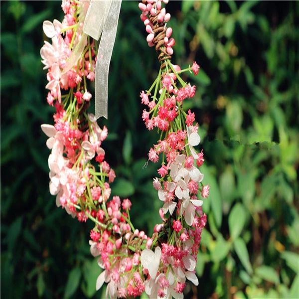 decorative flowers & wreaths the star of eternal life flower bride bridesmaid wreath imitation po wedding dress wholesale
decorative flowers & wreaths the star of eternal life flower bride bridesmaid wreath imitation po wedding dress wholesale