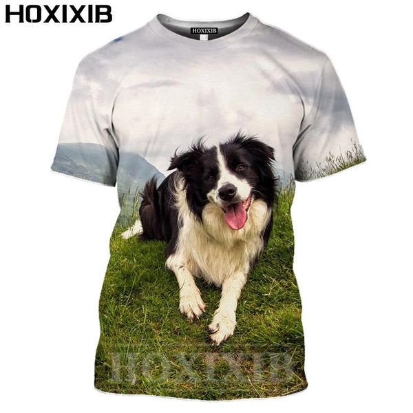 men's t-shirts hoxixib border collie t shirt women trend 3d print animal men tshirt clever pet mild loyalty family companion fun dog sp, White;black
men's t-shirts hoxixib border collie t shirt women trend 3d print animal men tshirt clever pet mild loyalty family companion fun dog sp, White;black