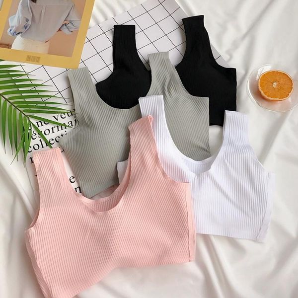 women's tanks & camis wholesale 100 pcs woman's solid yogi bra women padded push up workout quick dry fitted fitness crop bras, White
women's tanks & camis wholesale 100 pcs woman's solid yogi bra women padded push up workout quick dry fitted fitness crop bras, White