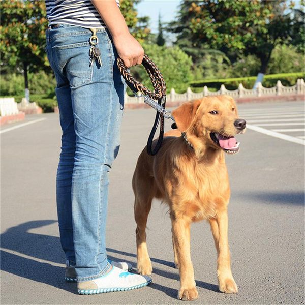 dog collars & leashes aapet retractable cortex pet traction rope pulling cat kitten tow outdoor travel leash training collar lead
dog collars & leashes aapet retractable cortex pet traction rope pulling cat kitten tow outdoor travel leash training collar lead