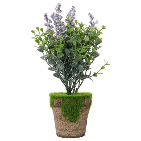 decorative flowers & wreaths 1pc simulation lavender ornament artificial bonsai decor fake flower
decorative flowers & wreaths 1pc simulation lavender ornament artificial bonsai decor fake flower
