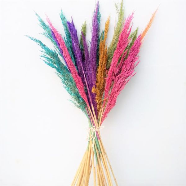 decorative flowers & wreaths 20 stems mix multi color large plumes dried pampas arrangement dry painted reed feather grass tall vase filler
decorative flowers & wreaths 20 stems mix multi color large plumes dried pampas arrangement dry painted reed feather grass tall vase filler