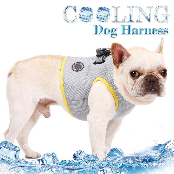dog apparel summer cooling vest clothes harness for dogs adjustable mesh coat puppy pets
dog apparel summer cooling vest clothes harness for dogs adjustable mesh coat puppy pets