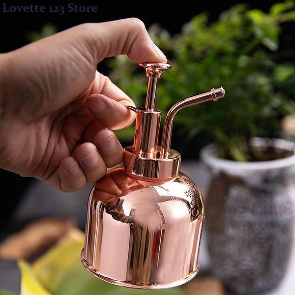 stainless steel fleshy watering spray bottle garden indoor retro flower sprayer equipments
stainless steel fleshy watering spray bottle garden indoor retro flower sprayer equipments