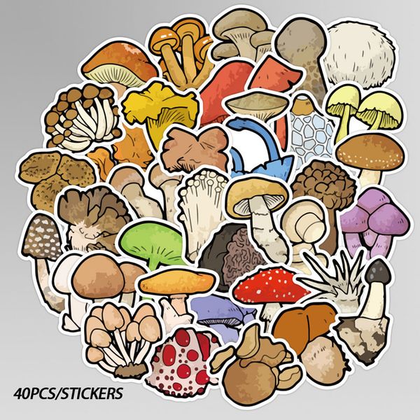 40 pcs elementary school knowledge mushroom graffiti waterproof skateboard travel suitcase phone lapluggage stickers cute
40 pcs elementary school knowledge mushroom graffiti waterproof skateboard travel suitcase phone lapluggage stickers cute