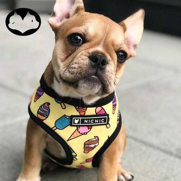 dog collars & leashes cute harness no pull and leash set small vest pet product accessories
dog collars & leashes cute harness no pull and leash set small vest pet product accessories