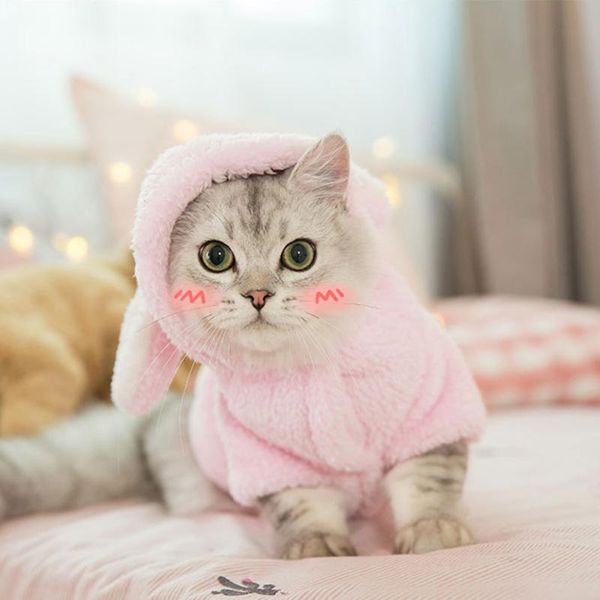 cat costumes clothes cats cute funny pets autumn and winter halloween pet cosplay accesorios
cat costumes clothes cats cute funny pets autumn and winter halloween pet cosplay accesorios