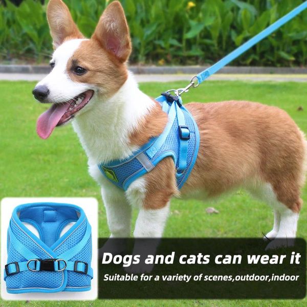 dog collars & leashes pet adjustable reflective harness vest walking lead leash for cat collar polyester small medium accessories
dog collars & leashes pet adjustable reflective harness vest walking lead leash for cat collar polyester small medium accessories