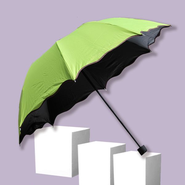 three fold advertising umbrella simple black glue creative full folding business blossoms in water
three fold advertising umbrella simple black glue creative full folding business blossoms in water