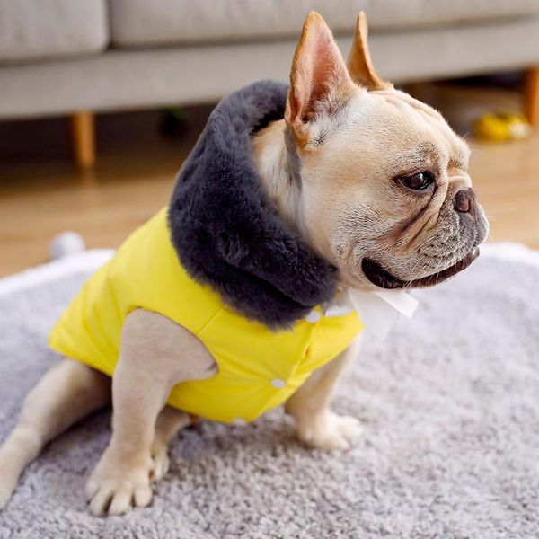 dog apparel yellow down jacket clothes winter for big large dogs waterproof coats jackets
dog apparel yellow down jacket clothes winter for big large dogs waterproof coats jackets