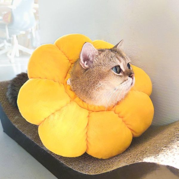 cat collars & leads elizabethan collar pet dog neck cone recovery for anti-bite lick wound healing protective cats e-collar
cat collars & leads elizabethan collar pet dog neck cone recovery for anti-bite lick wound healing protective cats e-collar