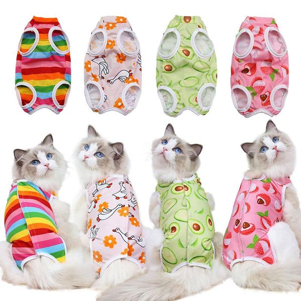 cat costumes recovery suit supplies printed sleeveless pet shirt back hook & loop closure breathable costume for dog
cat costumes recovery suit supplies printed sleeveless pet shirt back hook & loop closure breathable costume for dog