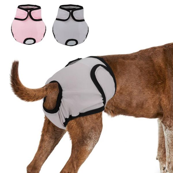 dog apparel female shorts panties pet physiological diaper pants sanitary for small medium dogs underwear xs-xl
dog apparel female shorts panties pet physiological diaper pants sanitary for small medium dogs underwear xs-xl