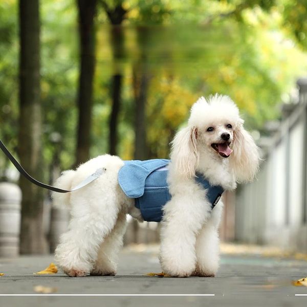 dog collars & leashes fashion breathable vest small harness and leash chest back traction rope chain accessories
dog collars & leashes fashion breathable vest small harness and leash chest back traction rope chain accessories