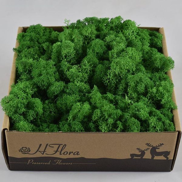 1000g eternal life moss for home garden decor wedding wall flower material natural reindeer micro landscape accessories decorative flowers &
1000g eternal life moss for home garden decor wedding wall flower material natural reindeer micro landscape accessories decorative flowers &