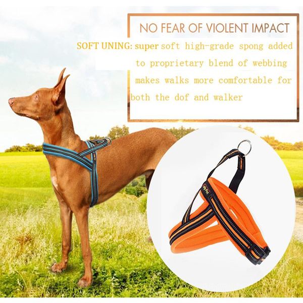 dog collars & leashes leash adjustable vest belt reflective medium and large chest strap pet supplies
dog collars & leashes leash adjustable vest belt reflective medium and large chest strap pet supplies
