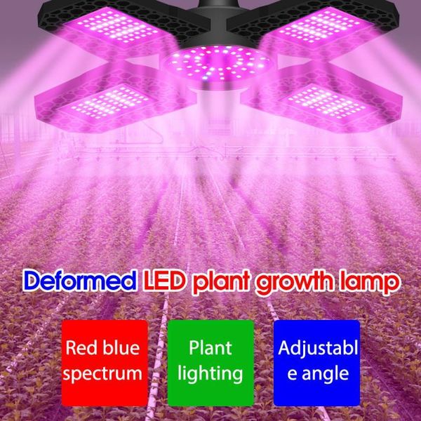 100w/120w/150w folding led plant light indoor red and blue spectrum succulent growth e27 deformed seedling planting grow lights
100w/120w/150w folding led plant light indoor red and blue spectrum succulent growth e27 deformed seedling planting grow lights