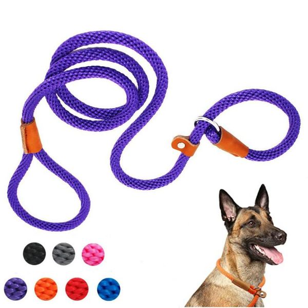 durable dog slip rope leash 6 ft training strong lead standard adjustable pet slipknot for small medium collars & leashes
durable dog slip rope leash 6 ft training strong lead standard adjustable pet slipknot for small medium collars & leashes