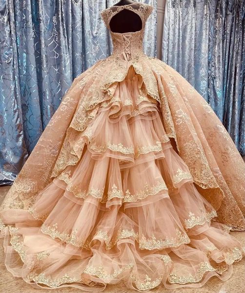 gorgeous blush lace ball gown 2021 mexican quinceanera prom dresses charro jewel sheer neck with train beaded sweet 16 dress vestidos 15 ano, Blue;red
gorgeous blush lace ball gown 2021 mexican quinceanera prom dresses charro jewel sheer neck with train beaded sweet 16 dress vestidos 15 ano, Blue;red