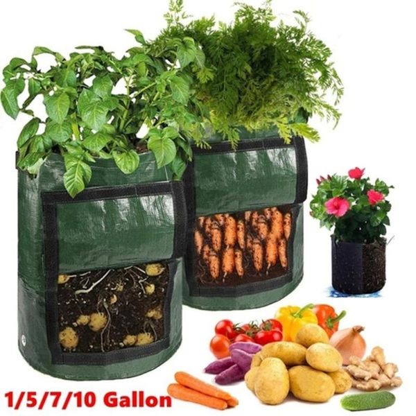 planters & pots plant grow bag potato bags planting waterproof pe gardening vegetable planter 7/8/10 gallon easy operate drain breath m
planters & pots plant grow bag potato bags planting waterproof pe gardening vegetable planter 7/8/10 gallon easy operate drain breath m