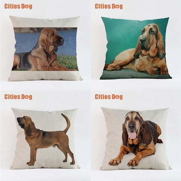 dog pillow covers decorative cushion for sofa pillows animal bloodhound dogs pillowcase cushions cover home decor cushion/decorative
dog pillow covers decorative cushion for sofa pillows animal bloodhound dogs pillowcase cushions cover home decor cushion/decorative