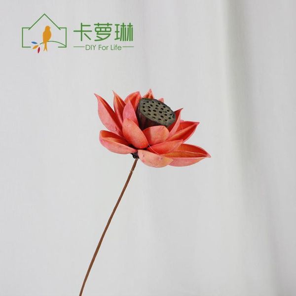 decorative flowers & wreaths 1pc dried lotus light color natural material flower, home wedding decoration art
decorative flowers & wreaths 1pc dried lotus light color natural material flower, home wedding decoration art