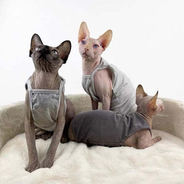 cat clothe t-shirt hairless cotton vest summer sling anti-allergic air-conditioned room mutual belly short-footed sphinx costumes
cat clothe t-shirt hairless cotton vest summer sling anti-allergic air-conditioned room mutual belly short-footed sphinx costumes