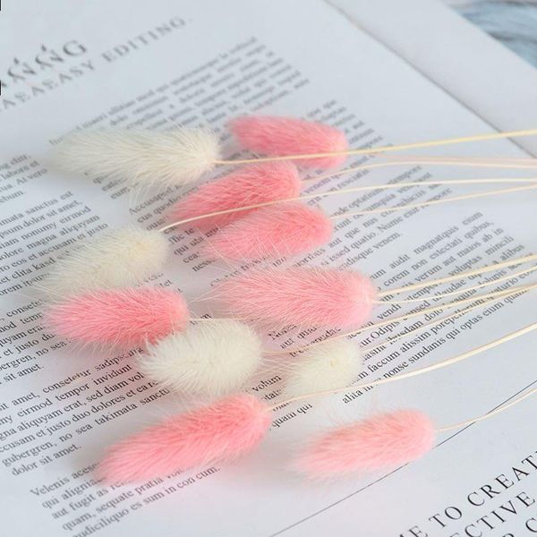 20pcs natural dried flowers tail grass for home wedding decoration colorful setaria real flower bouquet po props decorative & wreaths
20pcs natural dried flowers tail grass for home wedding decoration colorful setaria real flower bouquet po props decorative & wreaths