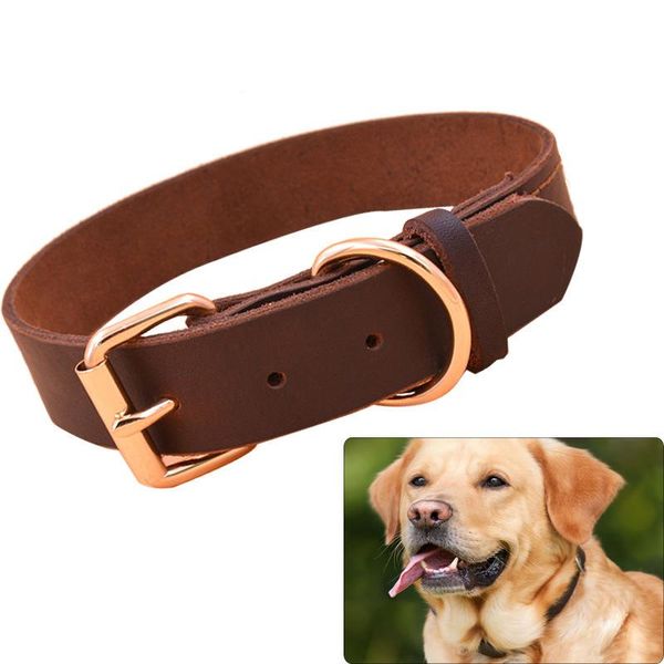 soft real leather dog collar pet puppy collars adjustable neck strap genuine for small medium large big dogs & leashes
soft real leather dog collar pet puppy collars adjustable neck strap genuine for small medium large big dogs & leashes