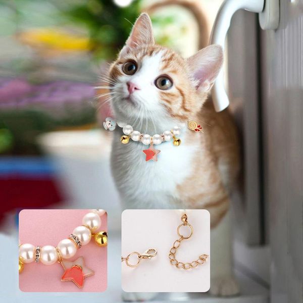cat collars & leads pet collar for cats rabbits teddy schnauzers and other puppies pearl bell supplies
cat collars & leads pet collar for cats rabbits teddy schnauzers and other puppies pearl bell supplies
