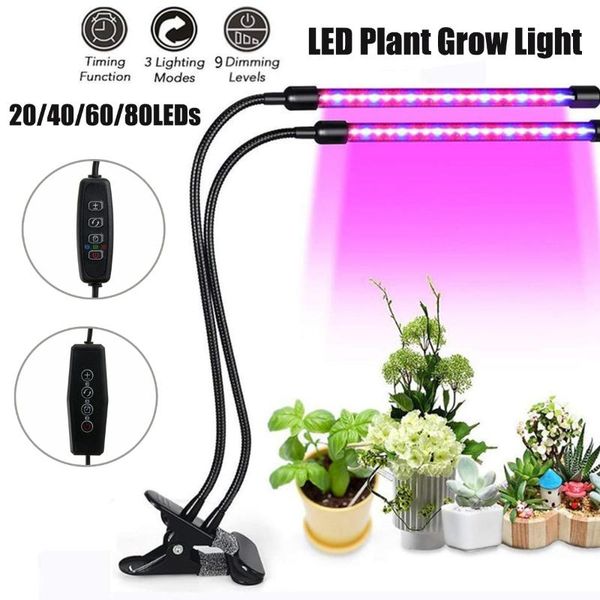 grow light usb 10w 20w 30w 40w led full spectrum phyto lamp phyto-lamp for indoor vegetable flowers plant growth lighting lights
grow light usb 10w 20w 30w 40w led full spectrum phyto lamp phyto-lamp for indoor vegetable flowers plant growth lighting lights