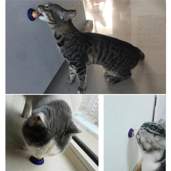 cat toys healthy catnip sugar candy licking nutrition gel energy ball toy for cats kittens increase drinking water help tool
cat toys healthy catnip sugar candy licking nutrition gel energy ball toy for cats kittens increase drinking water help tool