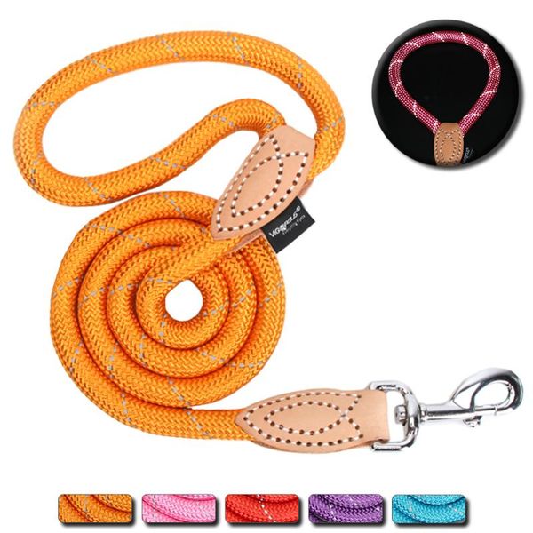 dog collars & leashes reflective big leash long for small dogs rope lead nylon adjustable pet collar harness products
dog collars & leashes reflective big leash long for small dogs rope lead nylon adjustable pet collar harness products