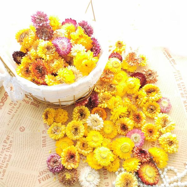 decorative flowers & wreaths 50pcs natural colorful chrysanthemum dried flower heads wedding centerpieces dry preserved daisy head
decorative flowers & wreaths 50pcs natural colorful chrysanthemum dried flower heads wedding centerpieces dry preserved daisy head