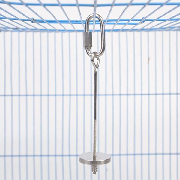 other bird supplies 2pcs hanging feeder toy birds treat skewer stainless steel parrots fruit vegetable stick holder for pet jy
other bird supplies 2pcs hanging feeder toy birds treat skewer stainless steel parrots fruit vegetable stick holder for pet jy