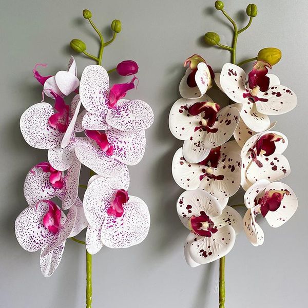 decorative flowers & wreaths latex real touch artificial orchid flower white butterfly orchids fake for home party diy wedding decoration fl
decorative flowers & wreaths latex real touch artificial orchid flower white butterfly orchids fake for home party diy wedding decoration fl