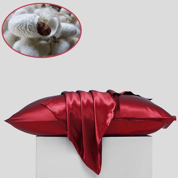 pillow case 22 momme 100% pure silk real invisible zipper natural pillowcase mulberry
pillow case 22 momme 100% pure silk real invisible zipper natural pillowcase mulberry
