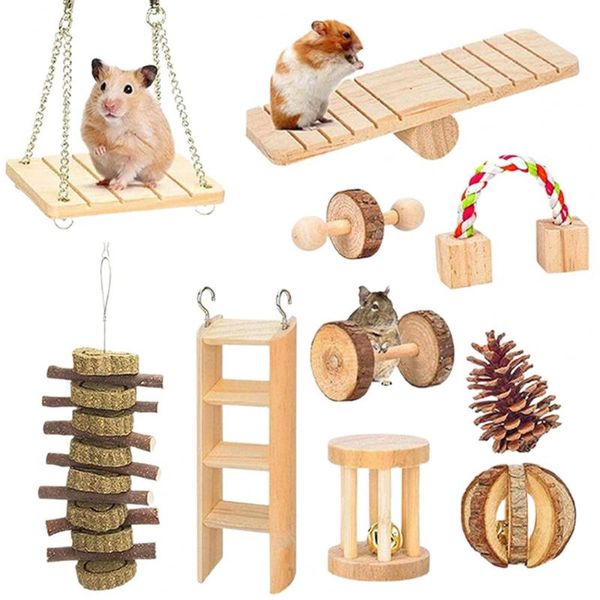 small animal supplies exercise training molar toys play chew pet 
small animal supplies exercise training molar toys play chew pet
