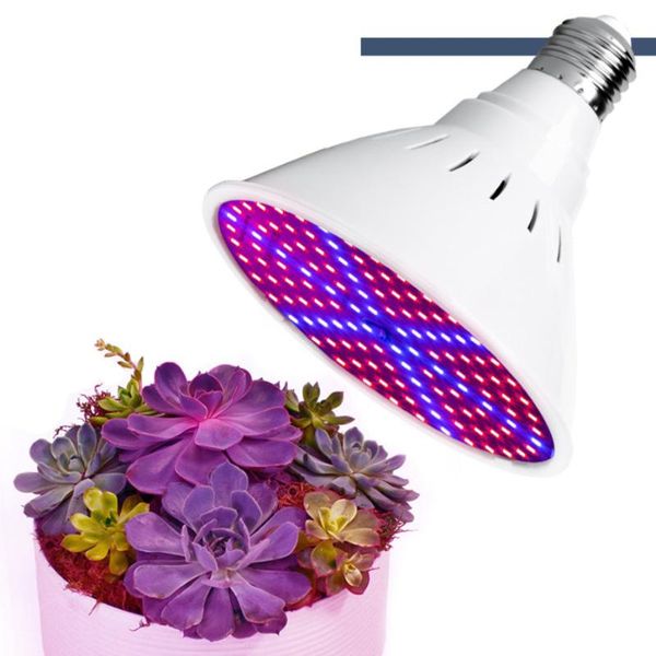 bulb grower 200led grow light full spectrum hydroponics bulbs for seedlings flower indoor garden tent lamp lights
bulb grower 200led grow light full spectrum hydroponics bulbs for seedlings flower indoor garden tent lamp lights