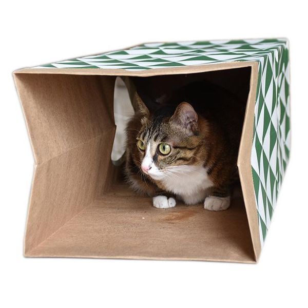 cat toys funny tunnel toy foldable holes kitten kraft paper cave cats suede pet supplies
cat toys funny tunnel toy foldable holes kitten kraft paper cave cats suede pet supplies
